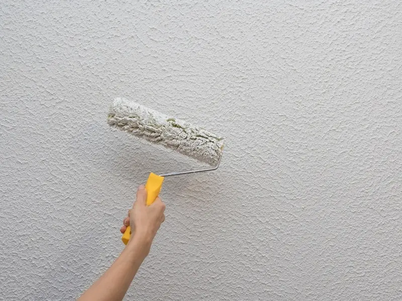 Top-rated Painting Service Tampa FL